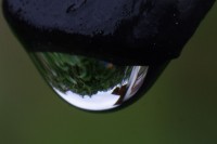 Dateiname=nach_regen_s_9.JPG
Dateigröße=82KB
Abmessungen: 1280x853
hinzugefügt am: 30. Juli 2010 nach_regen_s_9.JPG