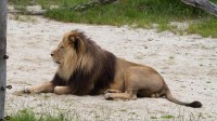 Dateiname=Herberstein-IMG_6372-hd.JPG
Dateigröße=1241KB
Abmessungen: 2090x1175
hinzugefügt am: 21. Juli 2011 Herberstein-IMG_6372-hd.JPG