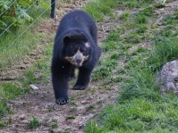 Dateiname=herberstein-57s.JPG
Dateigröße=1481KB
Abmessungen: 1810x1357
hinzugefügt am: 25. Mai 2011 herberstein-57s.JPG