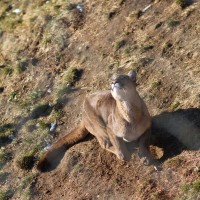 Dateiname=herberstein-14012012-128-IMG_5707bs.JPG
Dateigröße=1230KB
Abmessungen: 1567x1567
hinzugefügt am: 18. Januar 2012 herberstein-14012012-128-IMG_5707bs.JPG