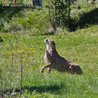 Dateiname=herberstein-16juni2012-IMG_4435bs.JPG
Dateigröße=1203KB
Abmessungen: 1567x1567
hinzugefügt am: 18. Juni 2012 herberstein-16juni2012-IMG_4435bs.JPG