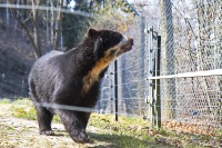 Dateiname=2015-03-21_20-31-48_leon_7D1L8456b.jpg
Dateigröße=1320KB
Abmessungen: 1920x1280
hinzugefügt am: 24. März 2015 2015-03-21_20-31-48_leon_7D1L8456b.jpg