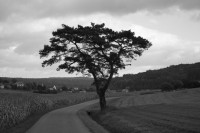 Dateiname=herbst05_12.jpg
Dateigröße=147KB
Abmessungen: 1280x853
hinzugefügt am: 30. Juli 2010 herbst05_12.jpg