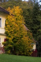 Dateiname=2012-10-18_15-01-11_herbst_7D1L6456bs.JPG
Dateigröße=1460KB
Abmessungen: 1280x1920
hinzugefügt am: 21. Oktober 2012 2012-10-18_15-01-11_herbst_7D1L6456bs.JPG