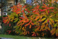 Dateiname=2012-10-18_15-28-51_herbst_7D1L6550bs.JPG
Dateigröße=1422KB
Abmessungen: 1920x1280
hinzugefügt am: 21. Oktober 2012 2012-10-18_15-28-51_herbst_7D1L6550bs.JPG