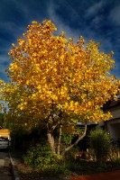 Dateiname=2012-10-18_15-37-11_herbst_7D1L6563bs.JPG
Dateigröße=1389KB
Abmessungen: 1280x1920
hinzugefügt am: 21. Oktober 2012 2012-10-18_15-37-11_herbst_7D1L6563bs.JPG