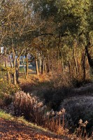 Dateiname=2016-11-01_17-04-22_herbst_7D1L9223b.jpg
Dateigröße=1731KB
Abmessungen: 1280x1920
hinzugefügt am: 01. November 2016 2016-11-01_17-04-22_herbst_7D1L9223b.jpg