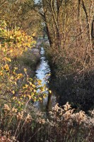 Dateiname=2016-11-01_17-06-14_herbst_7D1L9239b.jpg
Dateigröße=1491KB
Abmessungen: 1280x1920
hinzugefügt am: 01. November 2016 2016-11-01_17-06-14_herbst_7D1L9239b.jpg