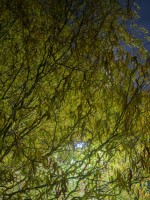Dateiname=7D1L9354-62bs2.JPG
Dateigröße=1134KB
Abmessungen: 1440x1920
hinzugefügt am: 15. November 2016 7D1L9354-62bs2.JPG