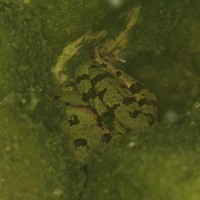 Dateiname=2017-07-19_00-17-16_Nachts_7D2L6701bs.JPG
Dateigröße=1006KB
Abmessungen: 1920x1920
hinzugefügt am: 18. Juli 2017 2017-07-19_00-17-16_Nachts_7D2L6701bs.JPG
