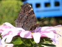Dateiname=75.jpg
Dateigröße=161KB
Abmessungen: 1280x960
hinzugefügt am: 30. Juli 2010 75.jpg