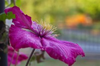 Dateiname=2015-05-19_19-00-34_nach-regen_7D1L0134b.jpg
Dateigröße=630KB
Abmessungen: 1920x1280
hinzugefügt am: 19. Mai 2015 2015-05-19_19-00-34_nach-regen_7D1L0134b.jpg