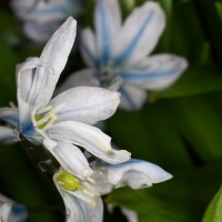 Dateiname=2016-03-08_16-26-32-blume-7D1L4771b.jpg
Dateigröße=710KB
Abmessungen: 1920x1920
hinzugefügt am: 08. März 2016 2016-03-08_16-26-32-blume-7D1L4771b.jpg