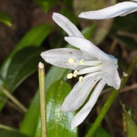 Dateiname=2016-03-08_16-27-45-blume-7D1L4779b.jpg
Dateigröße=827KB
Abmessungen: 1920x1920
hinzugefügt am: 08. März 2016 2016-03-08_16-27-45-blume-7D1L4779b.jpg