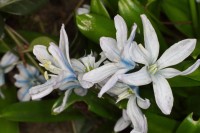 Dateiname=2016-03-08_16-28-43-blume-7D1L4781b.jpg
Dateigröße=620KB
Abmessungen: 1920x1280
hinzugefügt am: 08. März 2016 2016-03-08_16-28-43-blume-7D1L4781b.jpg