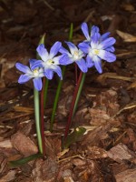 Dateiname=2016-03-22_13-04-44-blumen-7D1L4823b.jpg
Dateigröße=699KB
Abmessungen: 1440x1920
hinzugefügt am: 22. März 2016 2016-03-22_13-04-44-blumen-7D1L4823b.jpg
