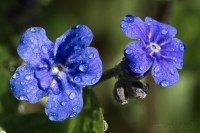 Dateiname=2017-03-28_15-29-58_blumen_7D1L0986bws.JPG
Dateigröße=766KB
Abmessungen: 1920x1280
hinzugefügt am: 28. März 2017 2017-03-28_15-29-58_blumen_7D1L0986bws.JPG