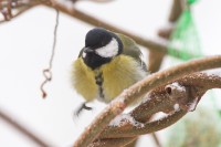 Dateiname=2016-01-03_08-05-30-voegel-7D1L3997b.jpg
Dateigröße=650KB
Abmessungen: 1920x1280
hinzugefügt am: 06. Januar 2016 2016-01-03_08-05-30-voegel-7D1L3997b.jpg
